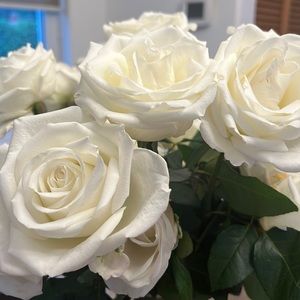 Meet your Posher, Natasha